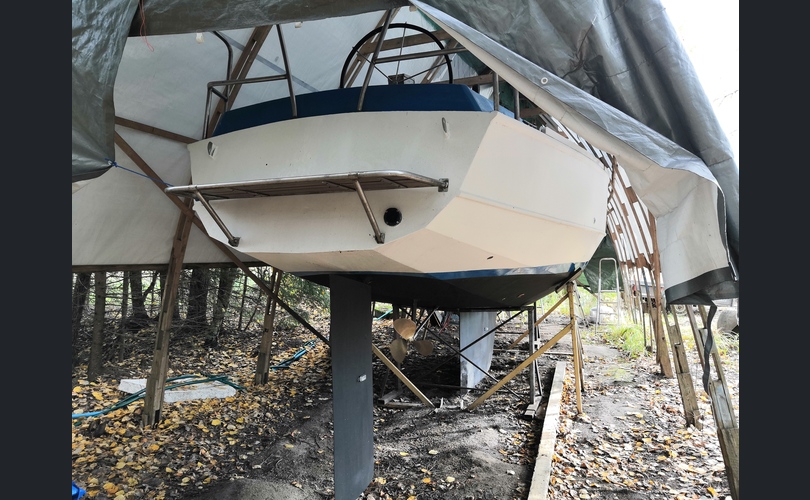 Van De Stadt 30 Vita Purjevene-kuva-6